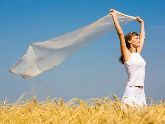 The Body Rejuvenation Cleanse