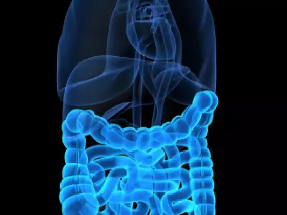 How to Improve Your Digestion
