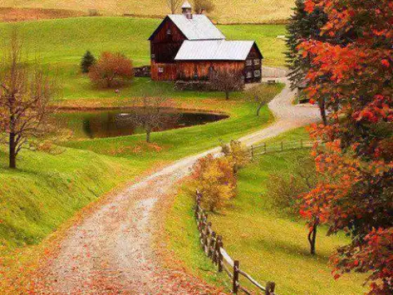 Welcome Autumn ~ Mindful Meditation