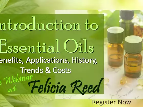 Introduction to Using Essential Oils