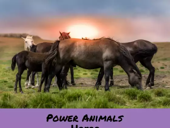 Power Animals: Horse