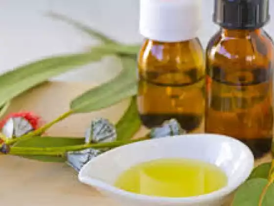 Eucalyptus Essential Oil