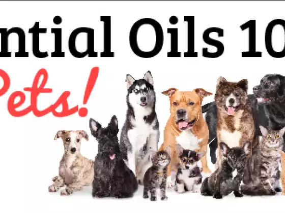 Essential Oils For Your Pets