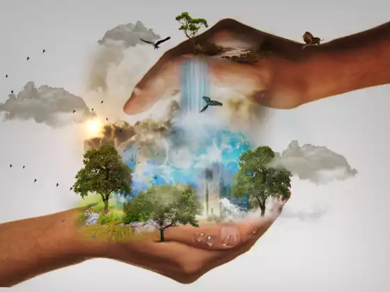 Co-Creating Our New World