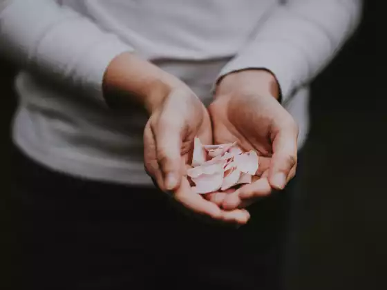 Reiki livello 1 Domande e risposte