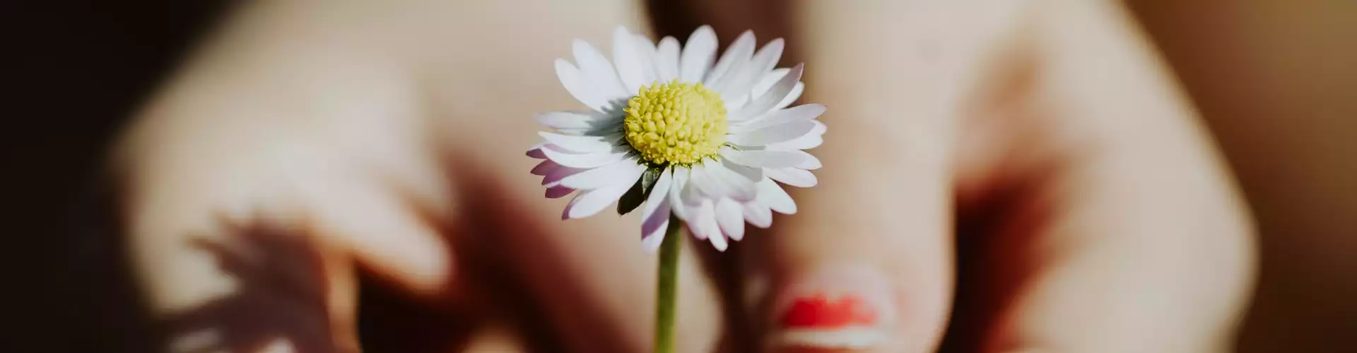 Reiki Healers Support Group - Online Class by Jamie Butler