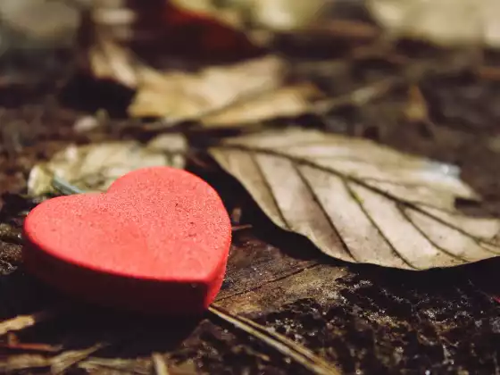 GRATITUDE LAB and other ways to increase your happiness