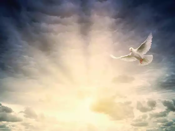 Spiritual Ascension Sundays - Bundle 8 (3 classes)