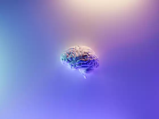 BRAIN CHANGE – Overcoming The Inner Battles