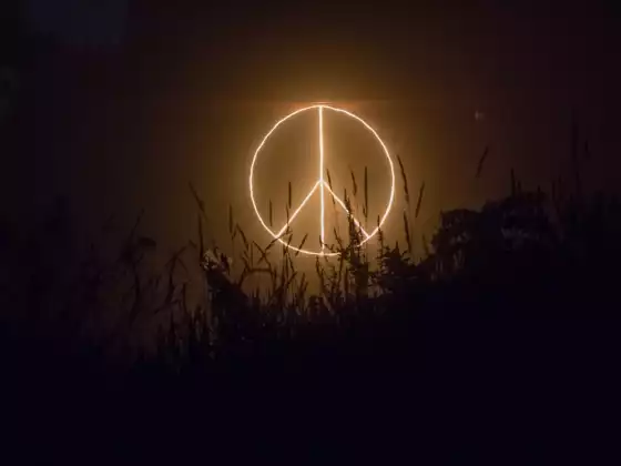 Call 4 Peace