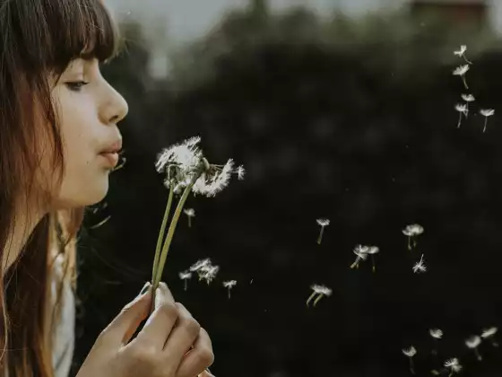 The Path To Peace - Breath and Peace