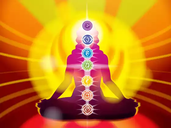 Sanando tus Chakras Serie Clase 2 Raíz y Sacro