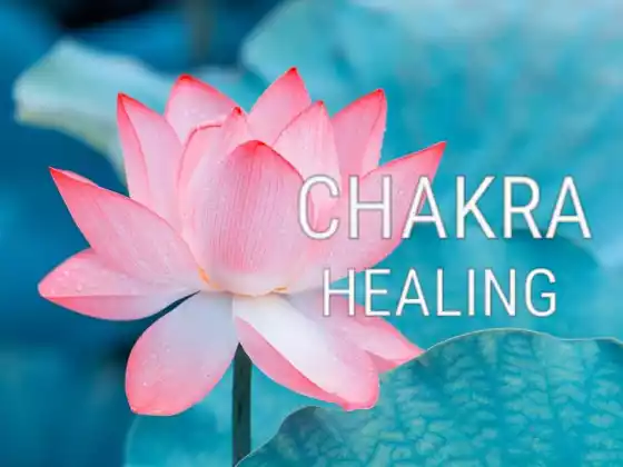 Série Guérir vos Chakras Les 8 classes