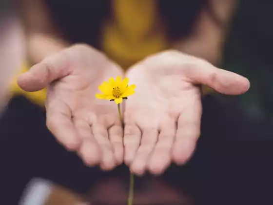 Fine settimana di maestria Reiki