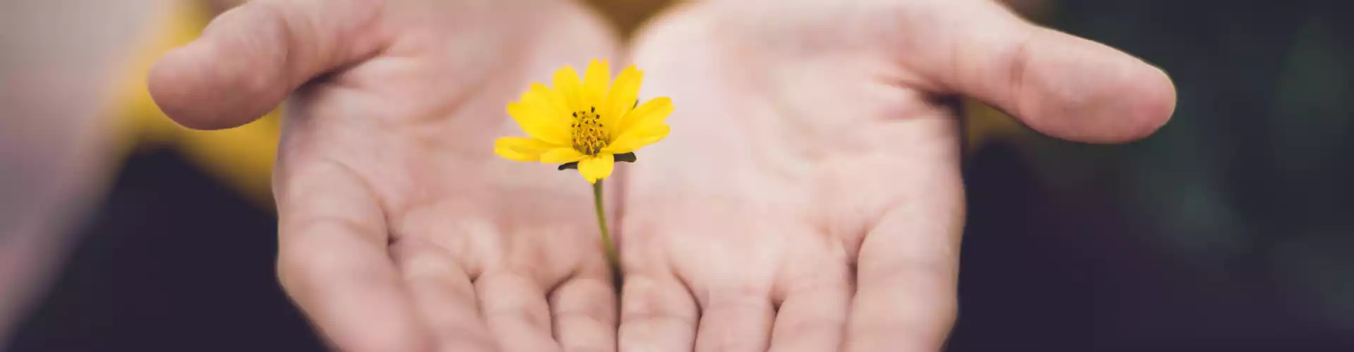 Fine settimana di maestria Reiki - Online Class by Jamie Butler