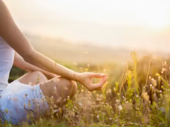 Module 14 (7 Espirituwal na Batas) - 200 HR Yoga Teacher Training