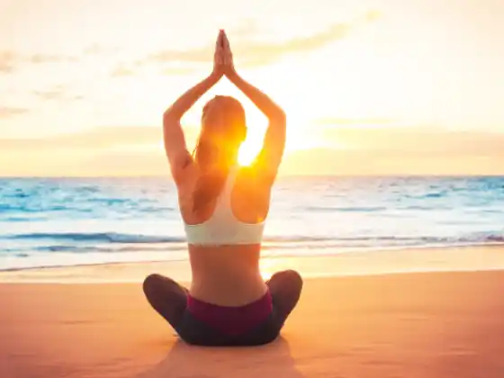 Kelas Yoga: Zen dan Yoga, Seni Aliran
