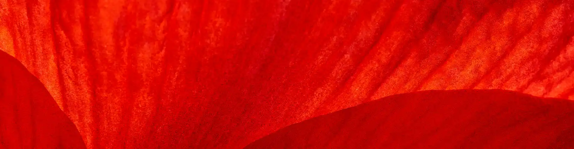 மைய ஆற்றலை வலுப்படுத்த ரிமோட் ஹீலிங் - Online Class by Jamie Butler