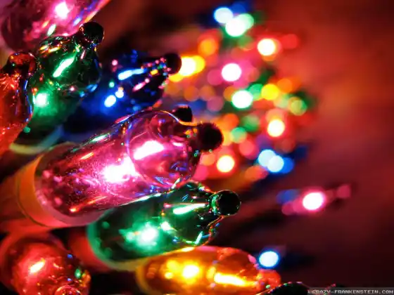 Cérémonie du solstice d'hiver 2024 - Joyeux et lumineux