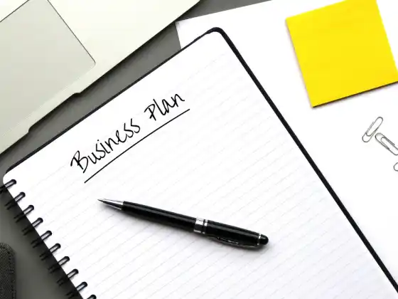Januar 2025 WU Business Intensiv - Einseitiger Business-Erfolgsplan