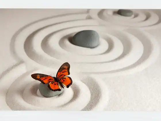 Mengaktifkan Miracles Guided Meditation - Berbilang bahasa