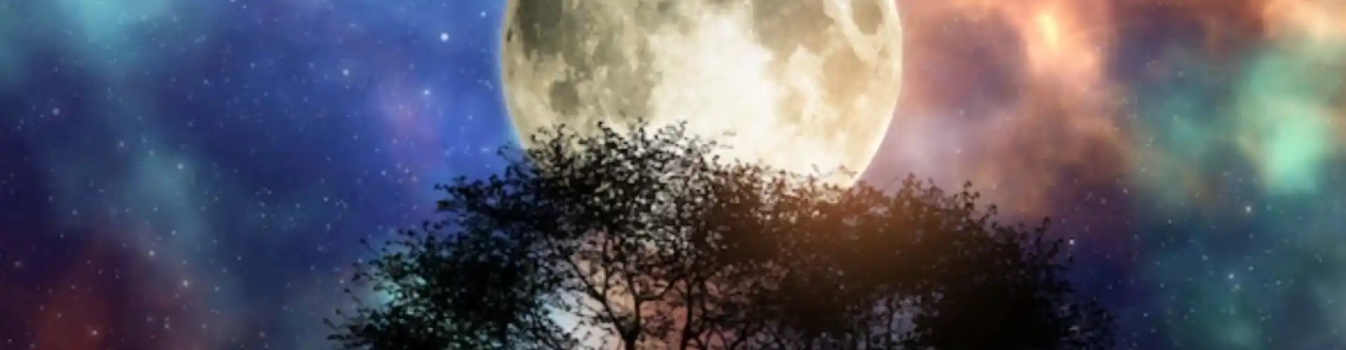 Meditação dos Chakras da Lua Cheia - Online Class by Cassaundra Paolini