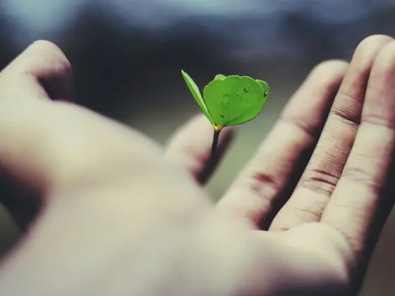 ندوة عبر الإنترنت رقم 6 حول معايرة المسار المهني لتحقيق النجاح المتناغم مع الروح